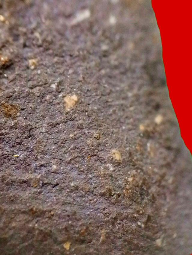 หลวงปู่ทวดเนื้อว่าน 2497 พิมพ์ชลูด