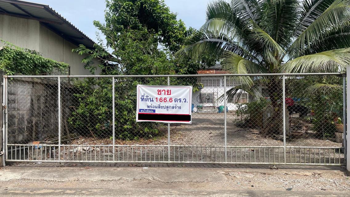 ขายด่วน ! ต่อรองได้ ที่ดินพร้อมสิ่งปลูกสร้าง 166.6 ตร.ว. อ.เมือง จ.สุราษฎร์ธานี 5