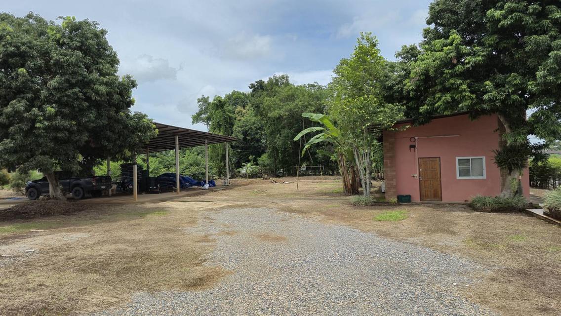 ที่ดินใกล้สิงห์ปาร์ค วัดร่องขุ่น พร้อมอาคาร โรงเรือน และสิ่งปลูกสร้าง ติดถนนหมายเลข 1211 ถนนเด่นห้า-ดงมะดะ ใกล้สิงห์ปาร์คเชียงราย 1.5 กม. 5