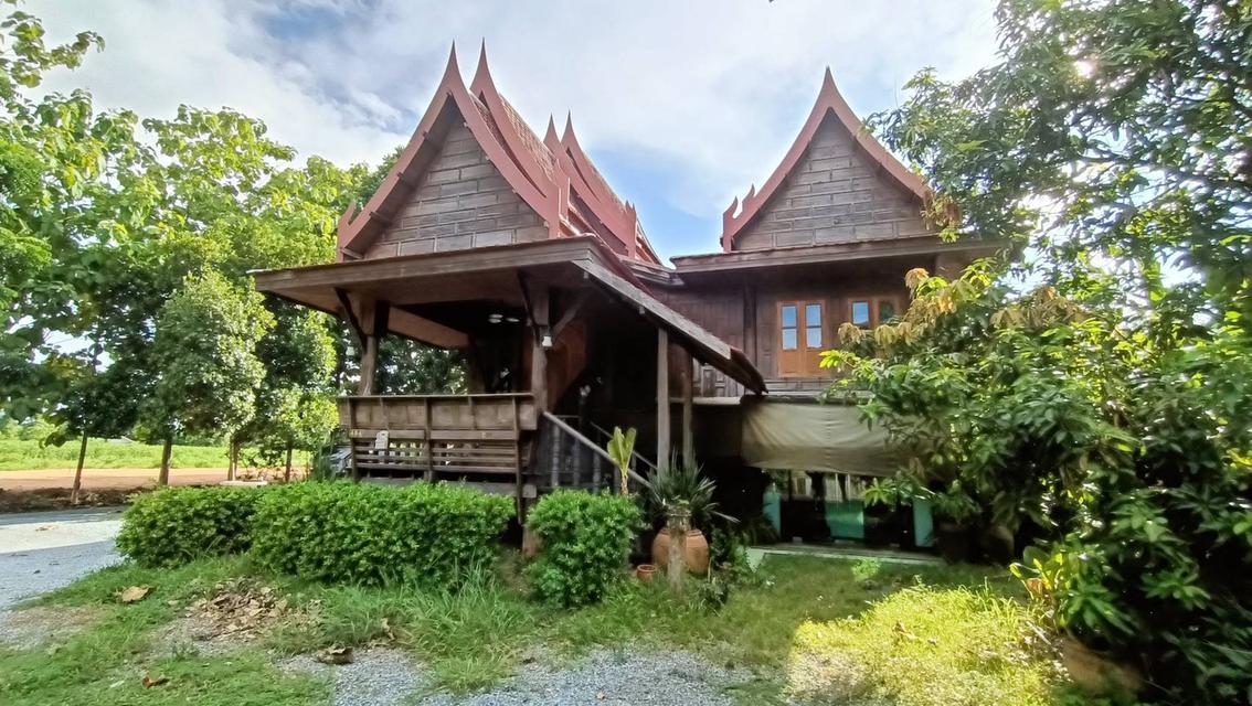 ขายบ้านไม้ทรงไทย 3 หลัง พร้อมที่ดินแปลงสวย(โฉนด) เนื้อที่ 2 ไร่ อำเภอเมือง นครราชสีมา 6