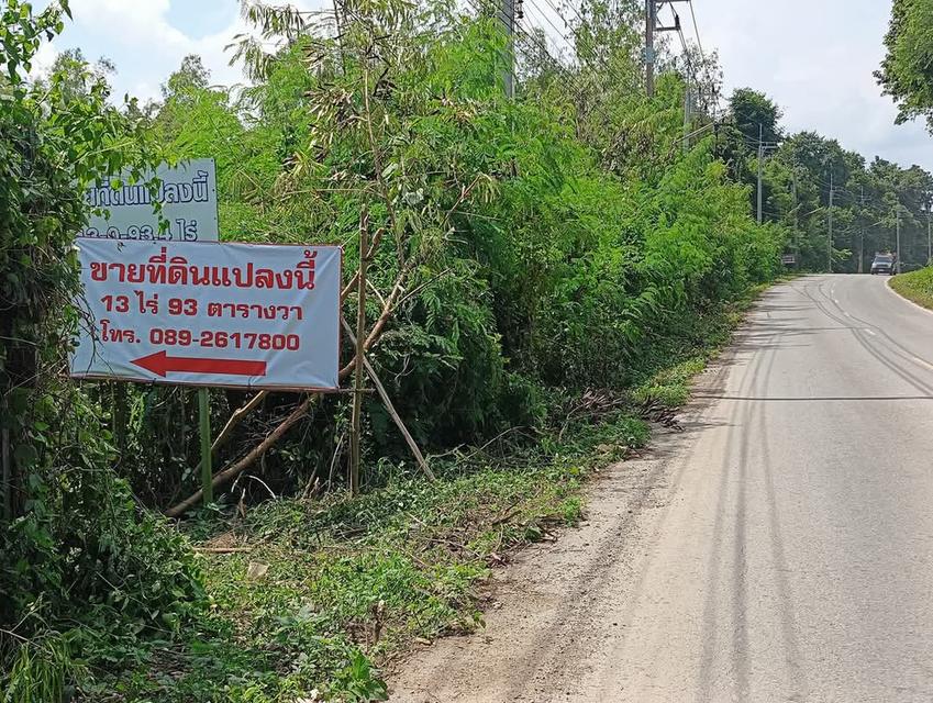 ขายที่ดิน 8
