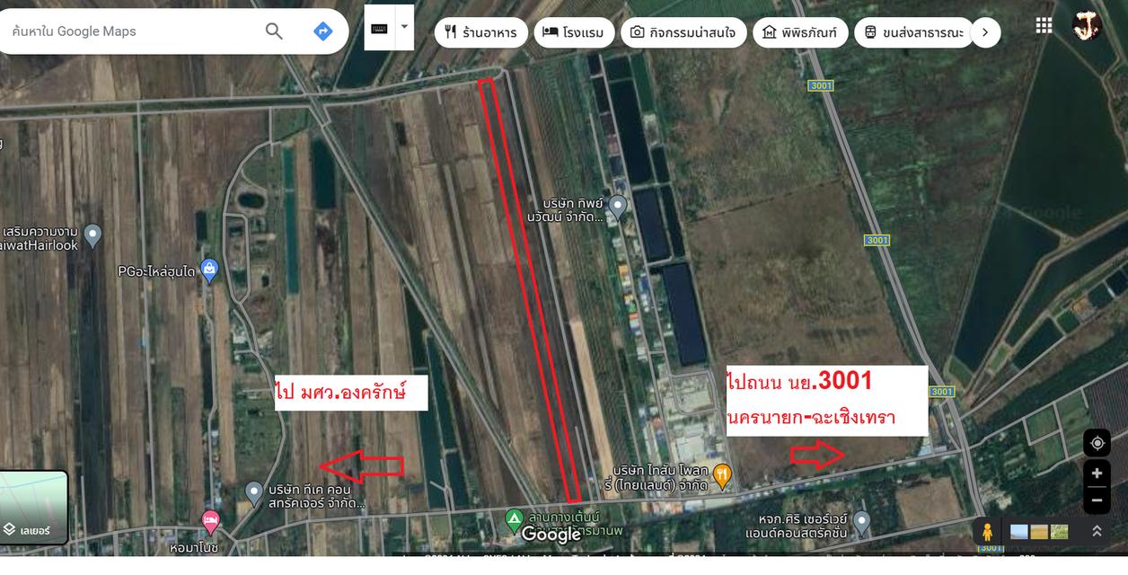 ขายที่ดิน 31 ไร่ นครนายก อำเภอองครักษ์ เจ้าของขายเอง 2