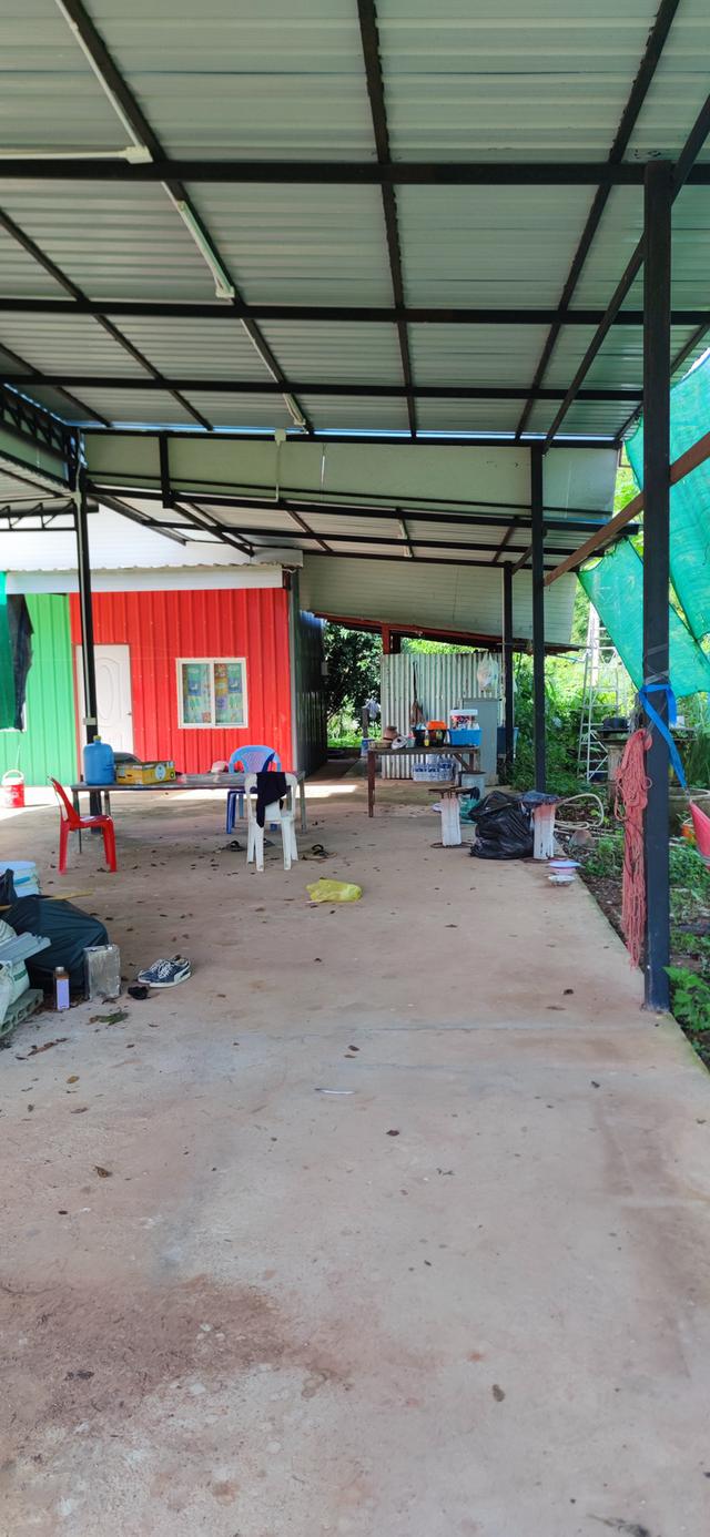 บ้านสวนและที่ดินเปล่า 3