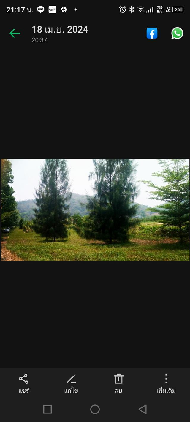 ขายที่ดินวิวเขาธรรมชาติ เนื้อที่2ไร่ 4