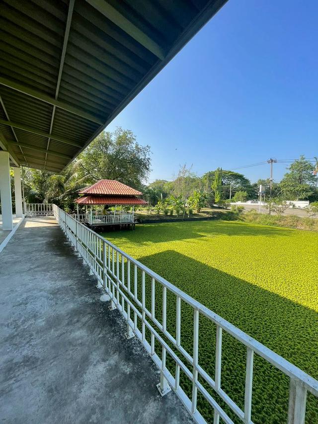 🏡 บ้านเดี่ยว 222 ตร.วา หมู่บ้านกฤษดานคร 25 มีบึงน้ำ + ศาลากลางน้ำ บรรยากาศเหมือนรีสอร์ท ราคา 12.5 ล้าน 8