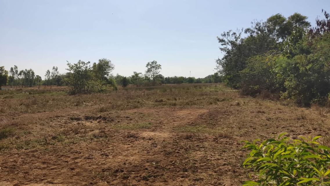 ที่ดิน อสังหาริมทรัพย์ 8