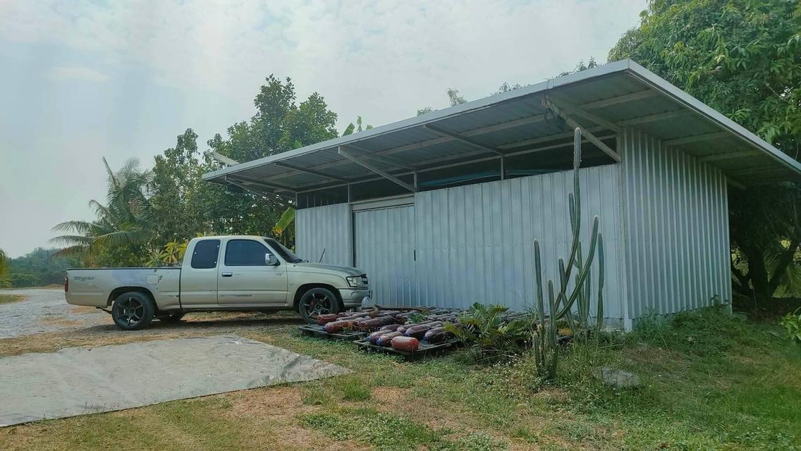 บ้านพร้อมที่ดินแปลงใหญ่ 11