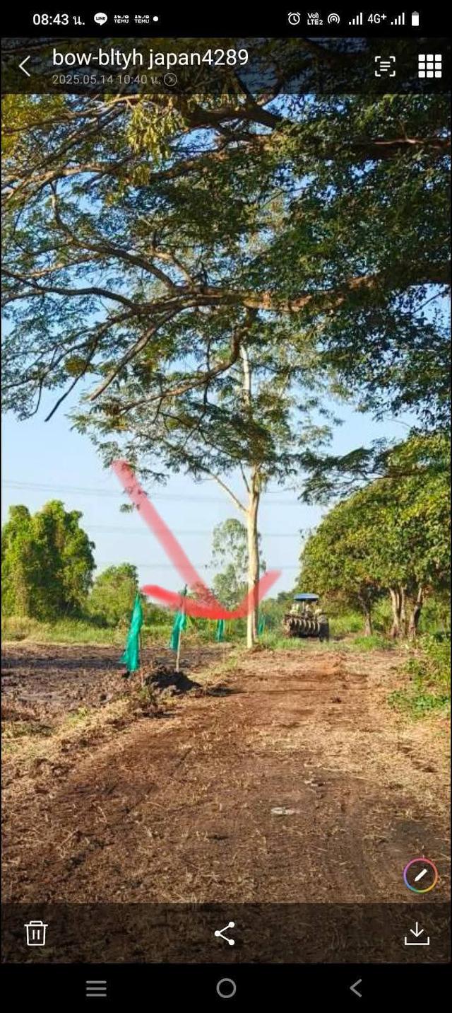 ที่ดินว่างเปล่า 1