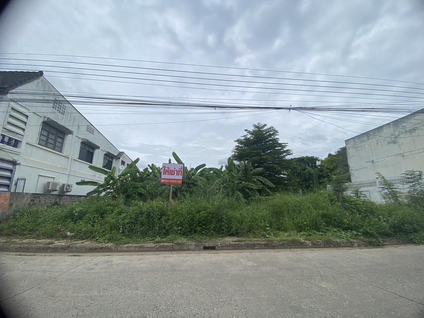 ที่ดินทำเลค้าขายใจกลางเมืองเลย 1