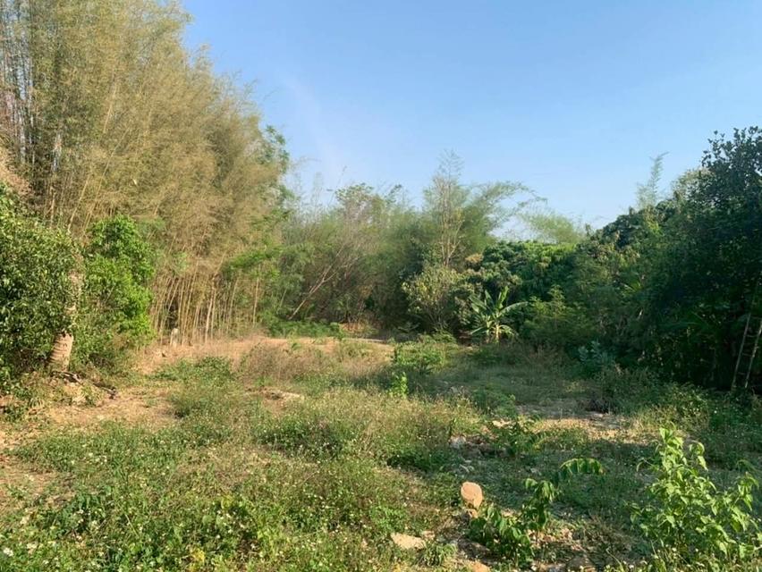 📣[ด่วน] ที่ดินมีโฉนด 1 ไร่ ต.ทับช้าง อ.สอยดาว จ.จันทบุรี 8