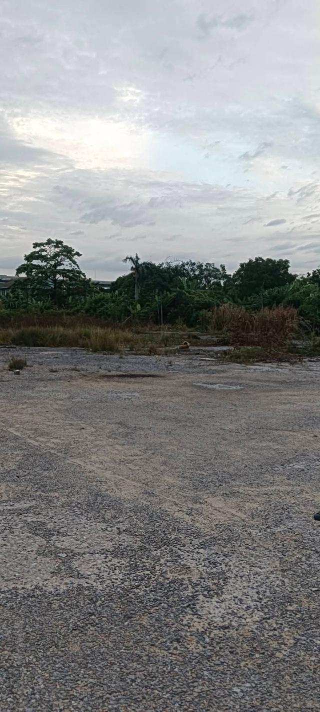 ที่ดินย่านมีนบุรี รามคำแหง 5