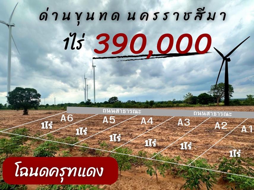 ที่ดิน ด่านขุนทด นครราชสีมา 2