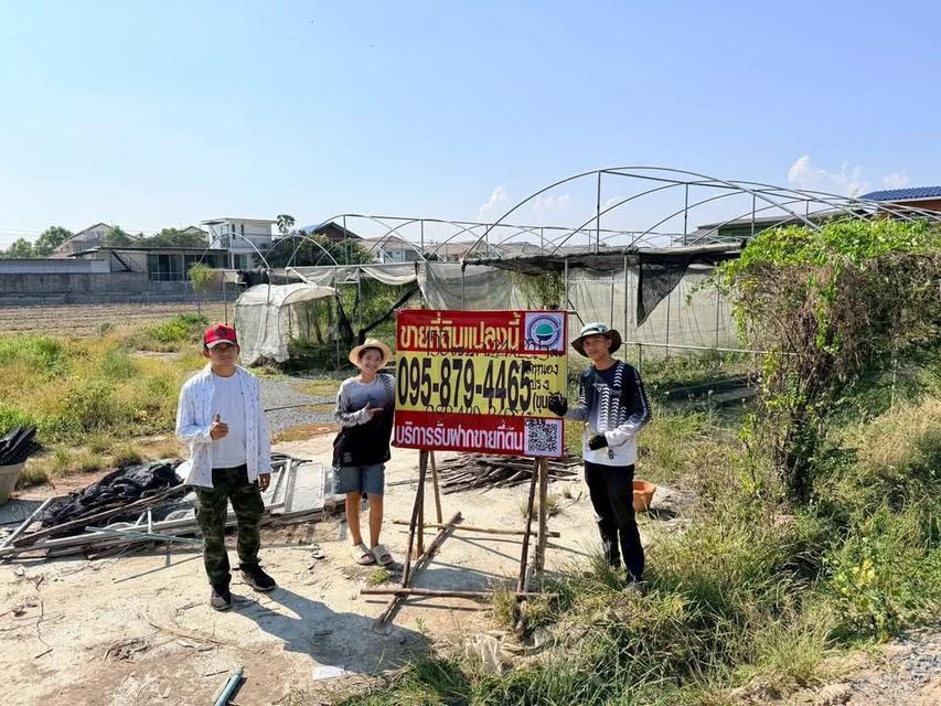 ขายด่วนทีดิน 153 ตารางวา ติดถนนหินคลุก ซอย วัดหนองปรง ต.บางเดื่อ อ.เมืองปทุมธานี 1