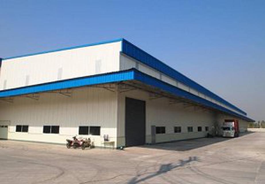 โรงงาน คลังสินค้า โกดังสำหรับเช่า Factory , Warehouse for Rent(Free zone) 4