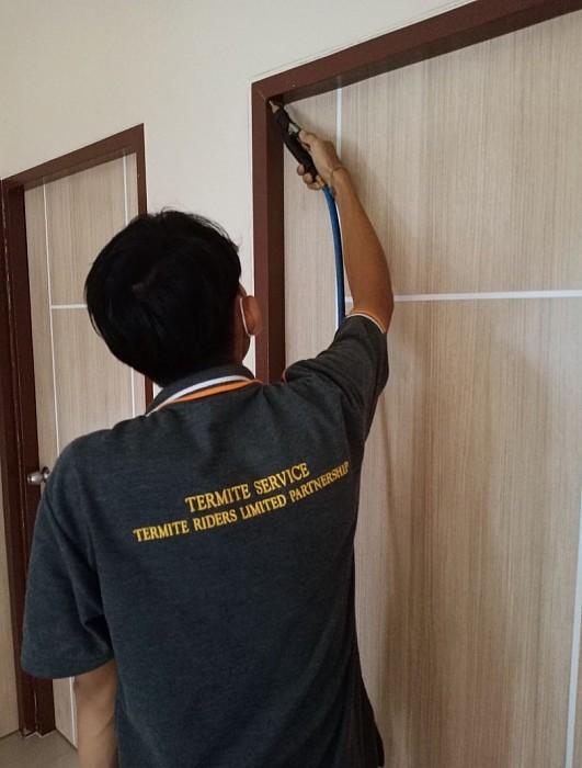 บริการกำจัด ปลวก มล แมลง ยุง หนู ครบวงจร 4