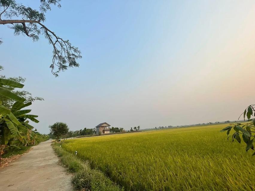 ที่ดินเปล่า ใกล้ตัวเมืองนครสวรรค์ ราคาถูก เจ้าของลงขายเอง น้ำ ไฟ อินเตอร์เน็ต เข้าถึง 5