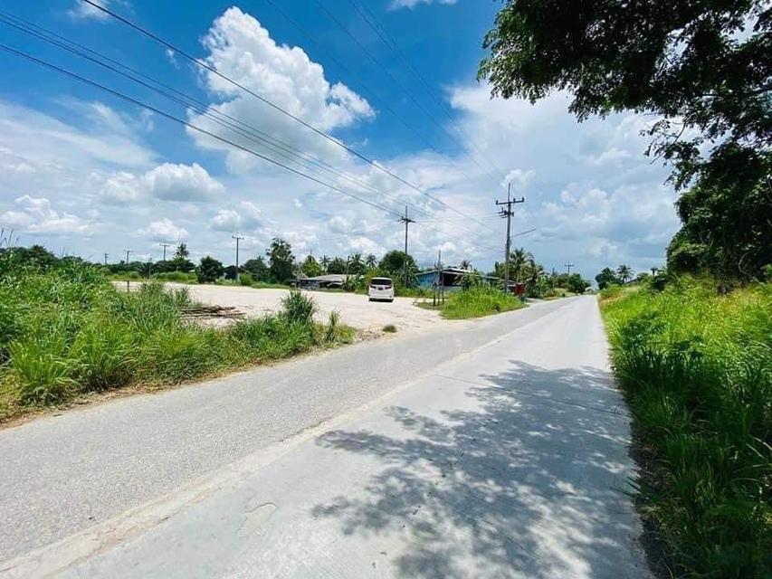 ขายที่ดินหนองอิรุณถมแล้ว 2 ไร่ ติดถนนลาดยางซอยวัดหนองเขิน ใกล้ถ.จารุวร349-800เมตร อ.บ้านบึง ชลบุรี 5