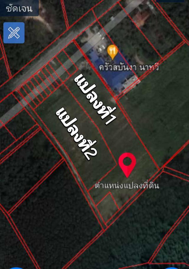 ขายที่ดินติดถนน เขตเทศบาลนาทวี ใกล้โรงพยาบาลนาทวี 200 ม. มี 2 แปลง แปลงที่ 1 มี 4 ไร่กว่าๆ ราคา 5000000 บาท แปลงที่ 2 มี 2 ไร่กว่าๆ ราคา 2400000 บาท
