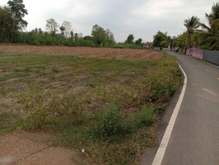 ขายที่ดินพร้อมบ้าน 4 ไร่ 1 งาน ใกล้ตัวเมืองบ้านเหล่า อ.สูงเม่น จ.แพร่ เหมาะลงทุน ทำการเกษตร พักอาศัย 11
