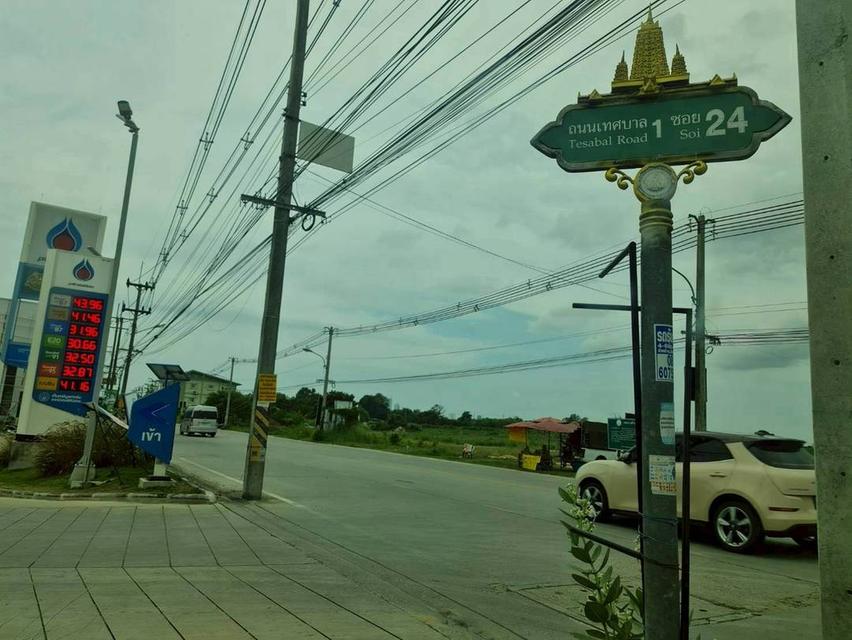 ขายที่ดินพัทยาชลบุรี 8