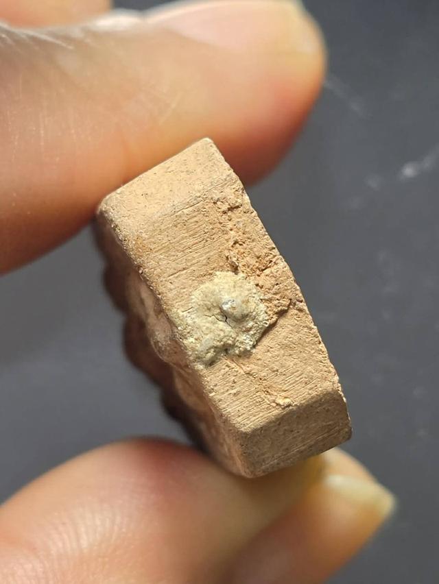 พระเครื่องหลวงพ่อปานพิมพ์ทรงครุฑ รูปที่ 3