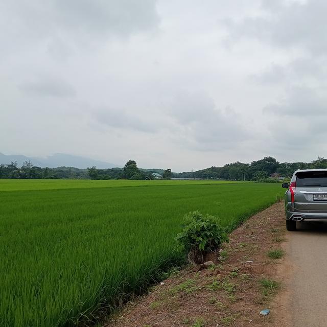 บ้านพร้อมที่ดิน 2 ไร่ 2 งาน 17 ตรว. 12
