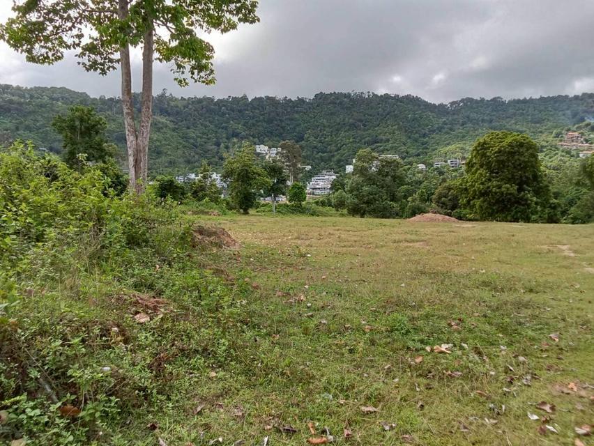 ขายที่ดิน เกาะสมุย land for sale samui 8