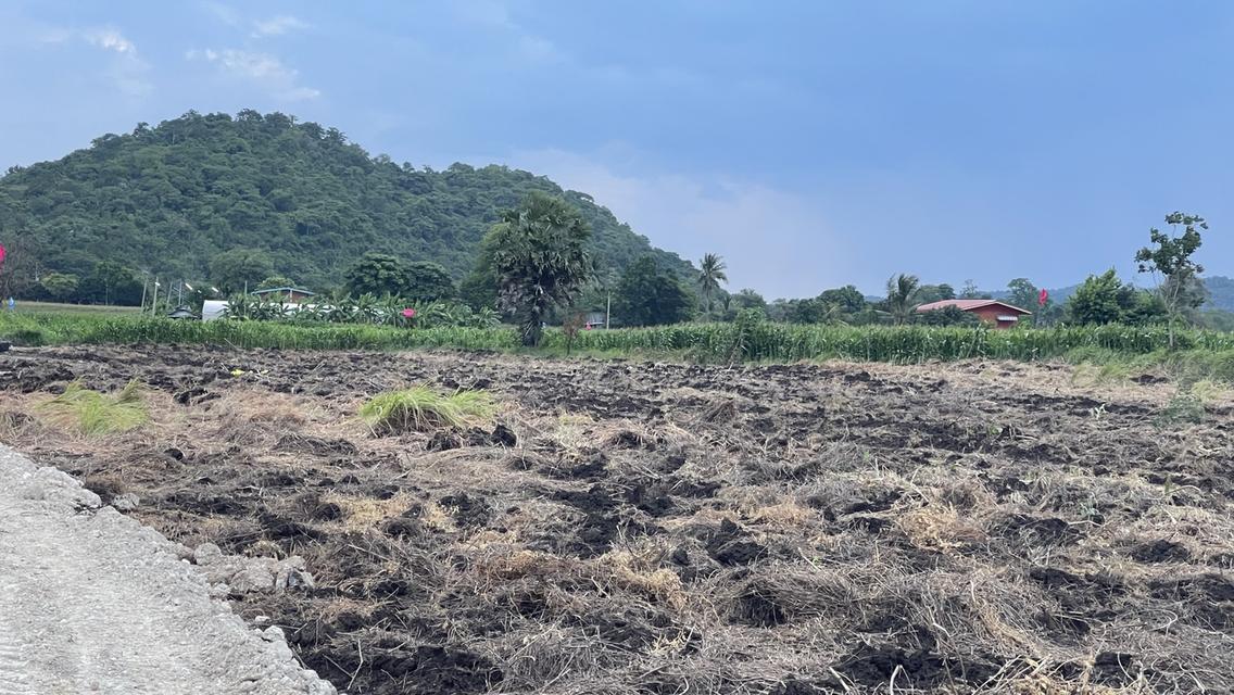 ที่ดินหนองม่วง จ. ลพบุรี 12
