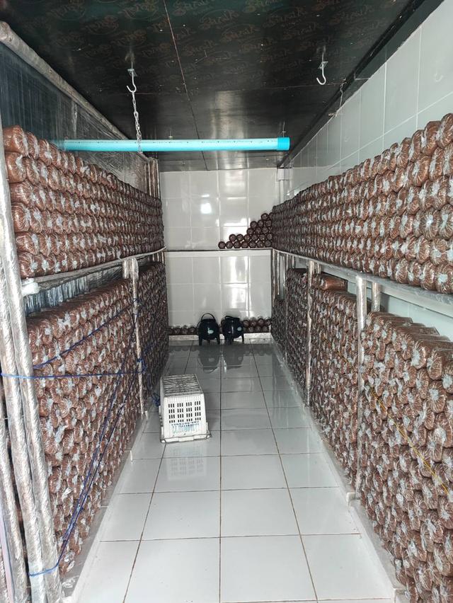 ขายบ้านสวนบรรยากาศดี บนพื้นที่ขนาดใหญ่ จ.อุดรธานี! (H1SS-479) 18