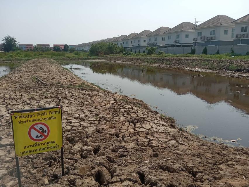 ขายที่ดินเปล่า 2 ไร่ ติดถนนคอนกรีต ซอยเทศบาลบางปู 83 9