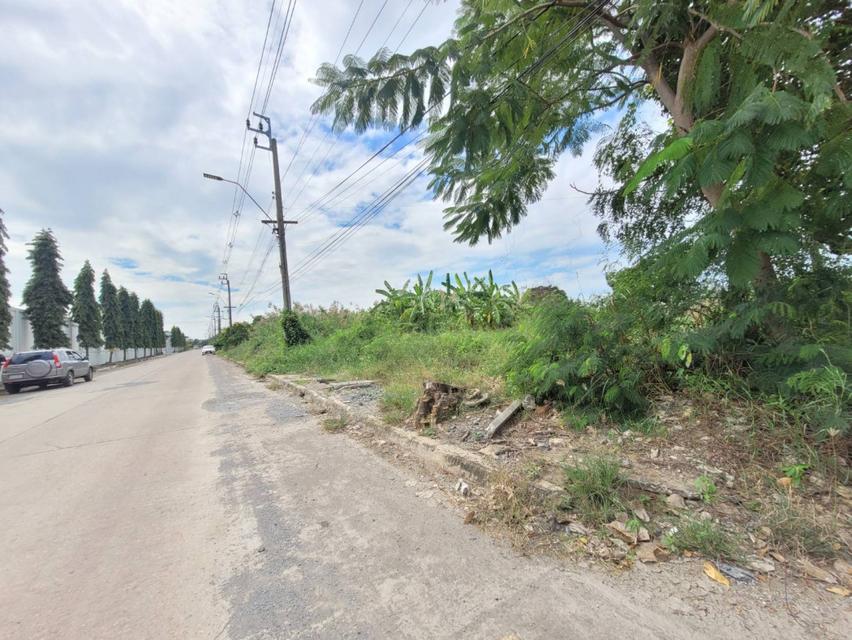 ขาย ที่ดินเปล่า พระรามสอง​ ซอย​ 100​ ขนาด 83-0-275 ไร่ เหมาะสร้างหมู่บ้านจัดสรร​ โกดัง​ 2