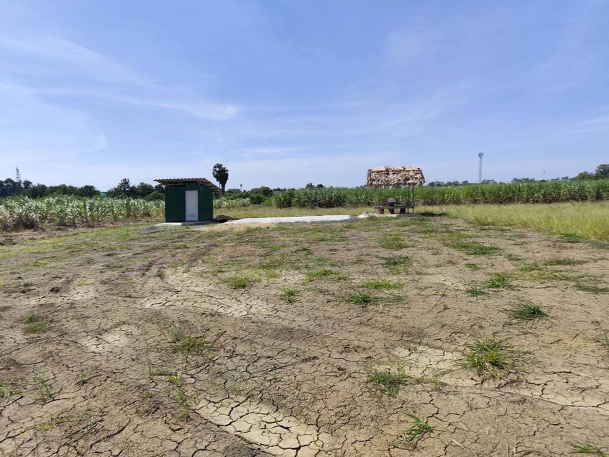 ขายที่ดิน 1-9 ไร่ กำแพงแสน นครปฐม land for sale Nakhon Pathom 1