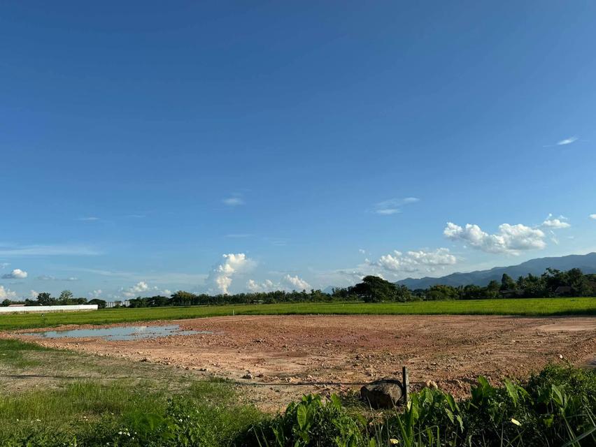 ที่ดินเปล่า 1