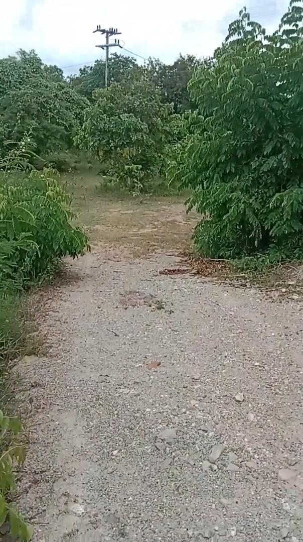 ที่ดิน จ.ราชบุรี ต.อ่างหิน อ.ปากท่อ 3