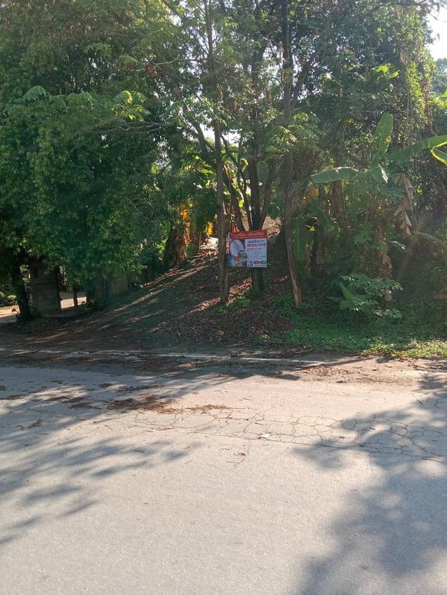 ขายที่ดินเชียงใหม่พร้อมสร้างบ้าน 15