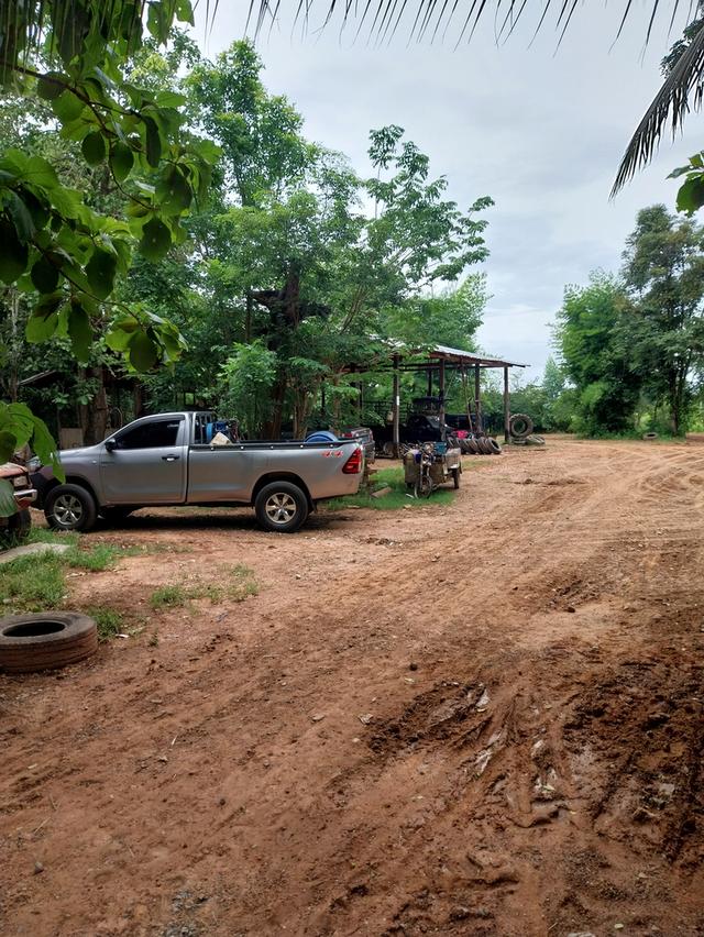 ขายที่ดิน จำนวน 7 ไร่ 1 งาน อยู่ในเขตเทศบาลอำเภอโนนสังจังหวัดหนองบัวลำภู 3