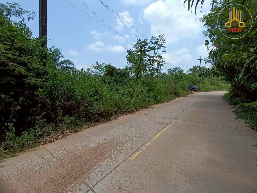 ลงทุนเพื่ออนาคต! ที่ดิน41-369ไร่ อ.เมืองระยอง l ใกล้ถ.สุขุมวิท(เดินทางเชื่อมต่อไปตัวเมืองระยองสะดวก) 5