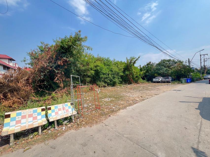 ขายที่ดินซอยกอไผ่ พัทยา จังหวัดชลบุรี 6