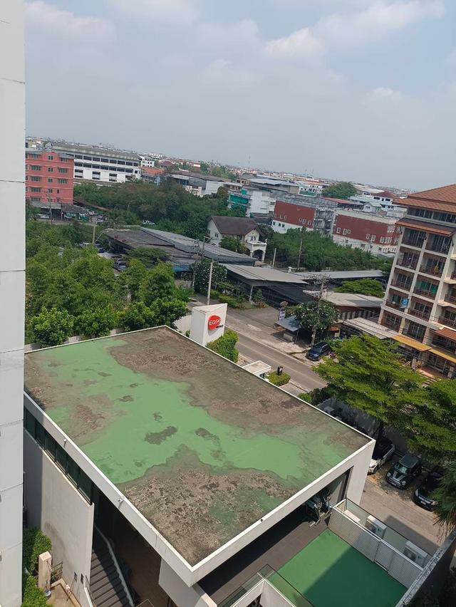 คอนโดอีส 1 พระราม 2 ห้องวิวสระว่ายน้ำ 15