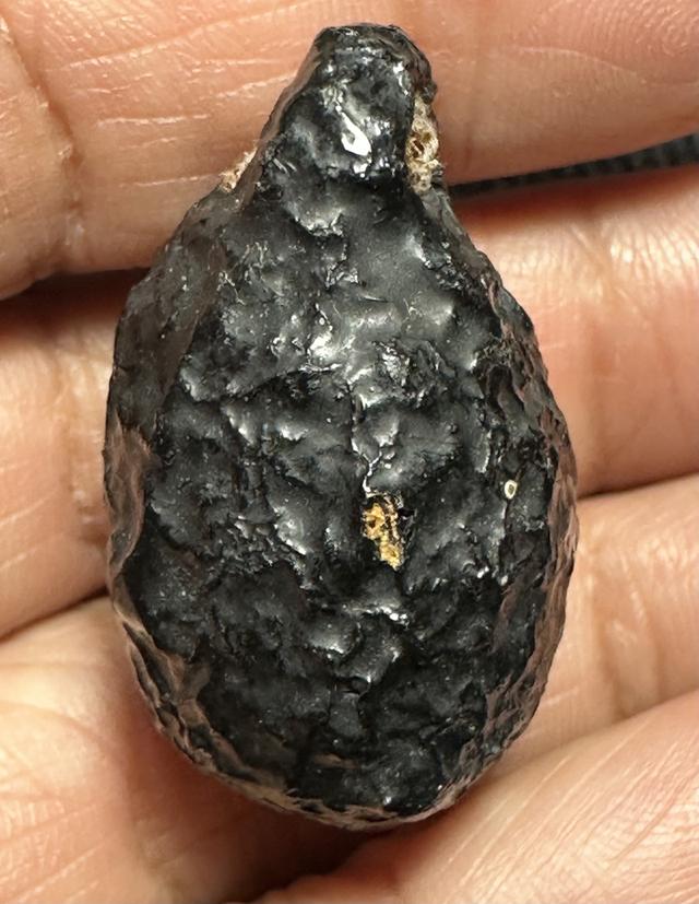 หมากทุยล.ป.เอี่ยม เก่า ลงรักเดิม รูปที่ 2