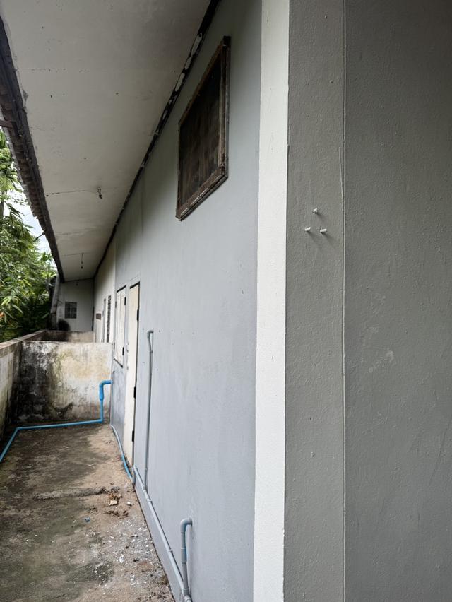 ขายบ้านเดี่ยวนาดีหลังหัวมุมเนื้อที่ 28 ตรว. 2ห้องนอน 1ห้องน้ำ ใกล้ถนนเส้นกบินทร์บุรี304-1กม. จ.ปราจีนบุรี 6