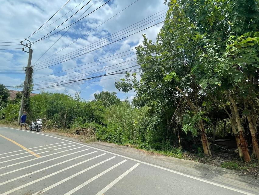 ที่ดินแถวท่าอิฐ ต.บากเกร็ด จ.นนทบุรี 11