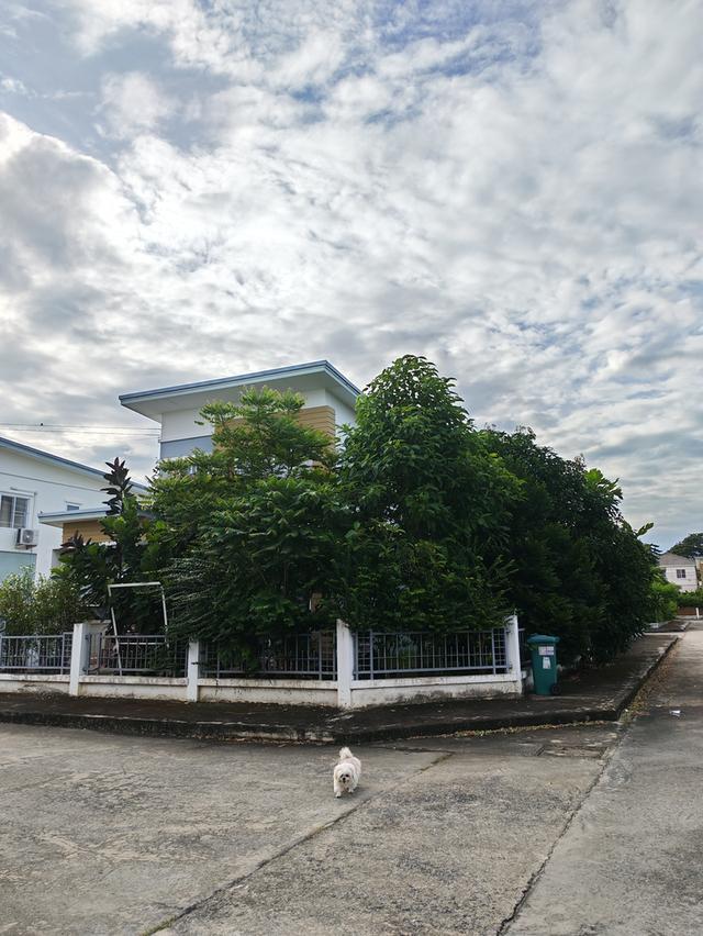 บ้านเดี่ยว ขนาด 57.5 ตารางเมตร เป็นบ้านหลังริม ติดสวนสาธารณะ 2