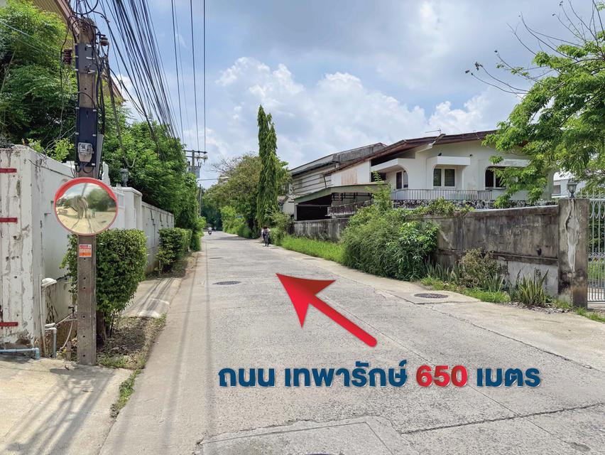 ที่ดิน ซอย สุขุมวิท 115 BTS ปู่เจ้า เทพารักษ์ สมุทรปราการ 14