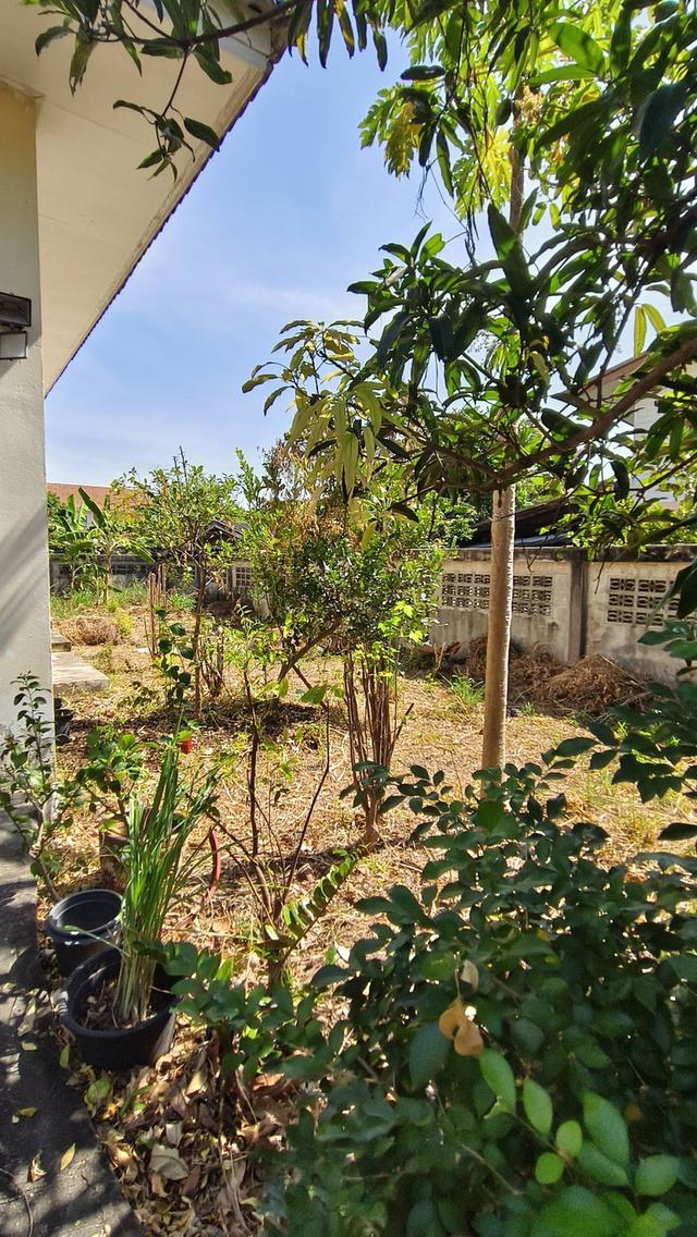 บ้านพร้อมที่ดินใจกลางบางแสน ขนาดเกือบไร่ 15