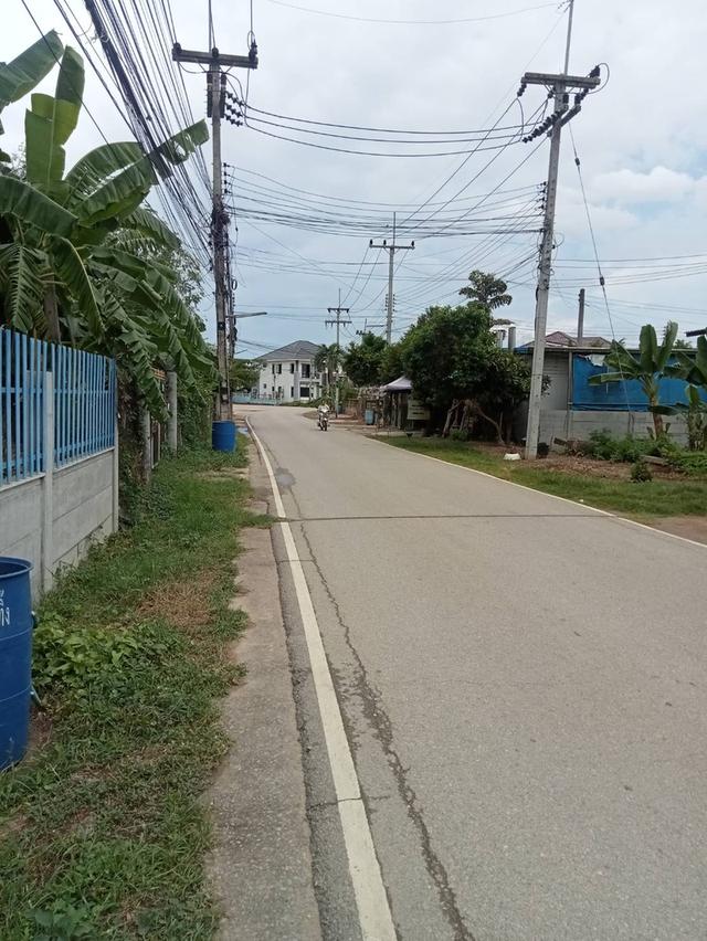 ขายเช่าที่ดินเปล่า ติดชุมชนกระทรวง เขาย้อยเพชรบุรี  3