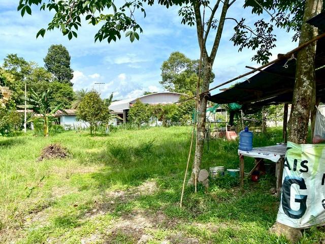 ขายที่ดินตาขันถมแล้ว 150 ตรว. ติดถนน4เลนเส้นเชิงเนิน-ชากบกใกล้เซ็นทรัล-10กม. อ.บ้านค่าย ระยอง 3