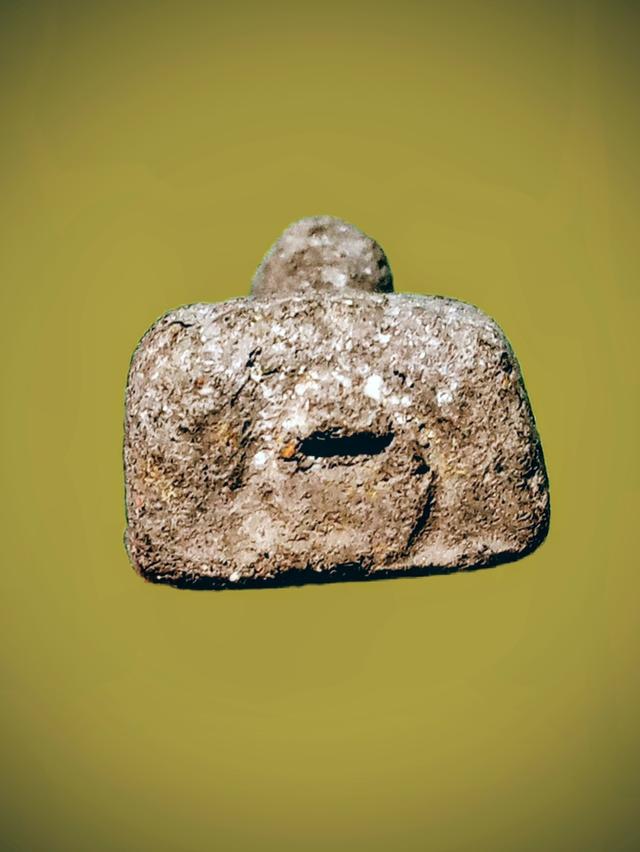 ปู่ทวดเนื้อว่าน 2497 5