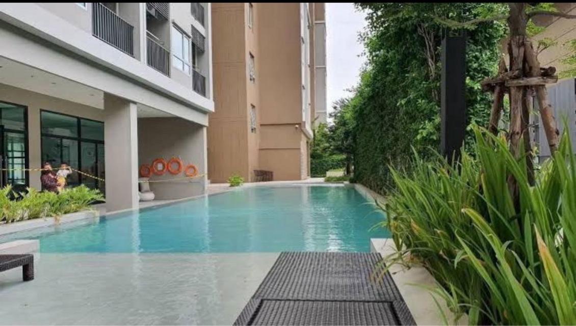 คอนโดนิชโมโนปู่เจ้า 3