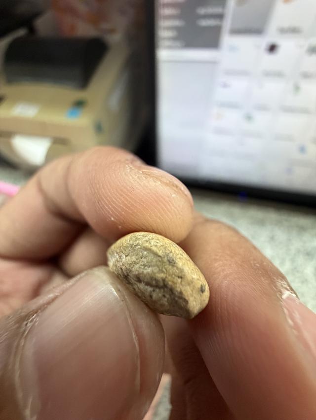 กรุวัดพลับ พิมพ์ไม่สมบูรณ์ แต่เนื้อจัดจ้านมาก รูปที่ 6